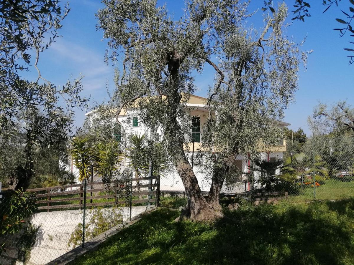 Villa Elisa เวียสเต ภายนอก รูปภาพ